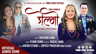 New Tamang Selo Song quotDolmo quot By Yunik Dong amp Priya Thokar  Shuvam Lama  20802024  AudioSOng [upl. by Younglove410]