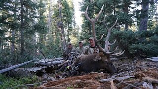 Bowhunting elk in New Mexico [upl. by Dorthy]