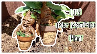 DIY Mandrake Plant from Harry Potter [upl. by Thenna]