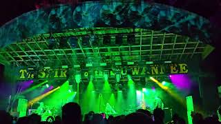 Papadosio live  Resonate Suwanee 2024 [upl. by Hillhouse]