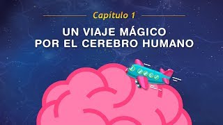 Capitulo 1 Un viaje MÁGICO por el cerebro humano  Canciones Educativas Infantiles [upl. by Alwin993]