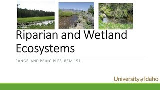 Riparian and Wetland Ecosystems on Rangeland [upl. by Marketa588]