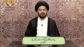 Lecture 10 Taharat Istibra by Maulana Syed Shahryar Raza Abidi [upl. by Wende]