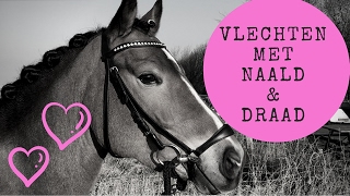 Vlechten met naald en draad joanneneidhoferhorses vlog23 [upl. by Epilif]