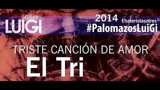 Triste Canción de amor  EL TRI de Mexico palomazosluigi 014 [upl. by Enoval]