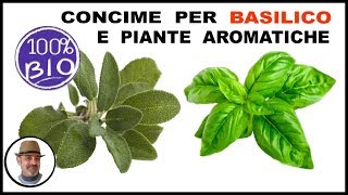 CONCIME PER BASILICO e tutte le piante aromatiche [upl. by Ibbie10]