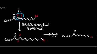 Biochemistry  Basics of Monounsaturated Fat Oxidation [upl. by Callan]