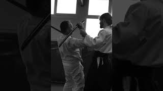 Stage aiki et iai Didier Ragot artsmartiaux budo [upl. by Enitnelav]