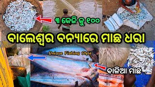 ସୁବର୍ଣ୍ଣରେଖା ବନ୍ୟା ରେ ମାଛ ଧରା  Unbelievable net fishing  Cast net fishing  odiavlog [upl. by Harlie40]