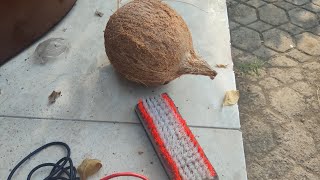 ASMR in the Balinese Sky Chicken Sounds Grated Coconut Dried Teak Leaves Even Clothes Brush [upl. by Lynnell]