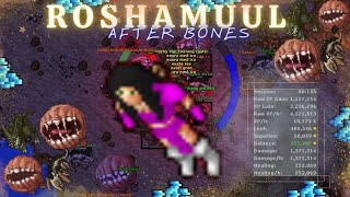 EK SOLO ROSHAMUUL AFTER BONES 69KKH 150 EXP  14KKH PROFIT [upl. by Aivyls]