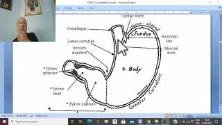 Esophageal disorders in Arabic 4  Gastroesophageal reflux disease  part 1   by Dr Wahdan [upl. by Alleirbag]