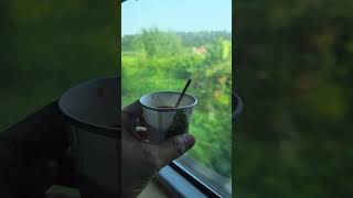 Ek garam chai ki pyai travel nature tea chai chailover [upl. by Namas]