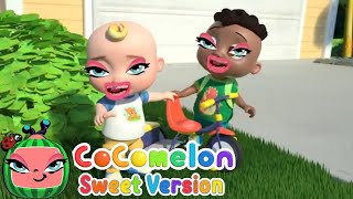 Playdate With Cody in CoComelon Sweet Version [upl. by Nino]