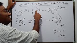 Synthesis of Oximes from Aldehydes and Ketones [upl. by Krakow]