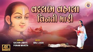 Vallabh Vhala Vinati Mari  વલ્લભ વ્હાલા વિનતી મારી  Sachin Limaye  Shreenathji Bhajan [upl. by Leasim]