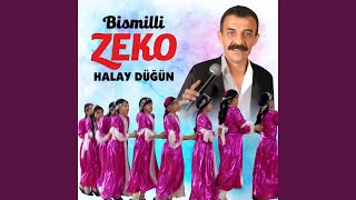 Hızlı Halay [upl. by Euqinim]