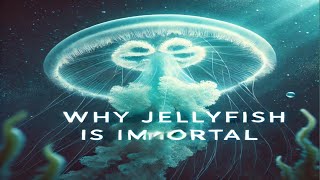 WHY JELLY FISH IS IMMORTAL [upl. by Pachton59]