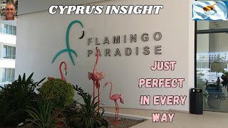 Flamingo Paradise Protaras Cyprus  Mini Break  The Flamingo Expirence [upl. by Anayik541]