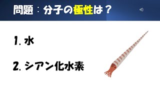 【化学】【極性】猫が出す化学の問題なのです（混成軌道27） [upl. by Delilah]