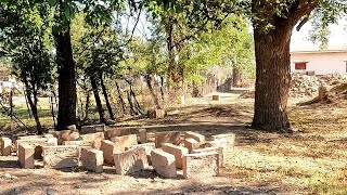 Mesilla Village Old Adobe New Mexico [upl. by Ethelin]