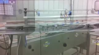 Ilapak Automatic line with Carrera 2000 for frozen hamburger [upl. by Siaht]