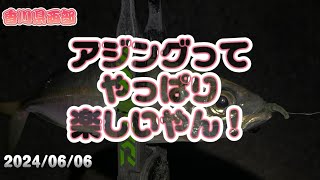 香川県西部で久しぶりのアジング！ [upl. by Brinson973]