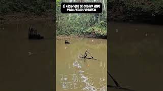 Lago LOTADO peixe subscribe pescaesportiva recap youtube reels shorts [upl. by Orwin]