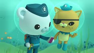 Octonauts and the Whale Shark Full Episode [upl. by Ailicec]