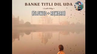 Banke tirli Dil uda lofi flip Slowed  rewarb [upl. by Karolyn456]