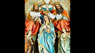 Feast of The Most Holy Trinity 52624 “We Adore Thee O Blessed Trinity” NH [upl. by Armbruster]