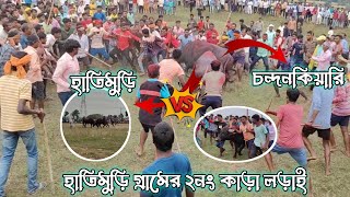 হাতি মুড়ি গ্রামের ২নং‌ কাড়া লড়াই hathimuri 2no kara larai কমিটি বনাম কালু গোপ  পুরা হাইভোল্টেজ [upl. by Bailie]