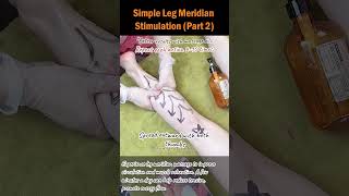 Simple Leg Meridian Stimulation Part 2 [upl. by Wichern]