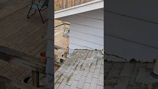 Roof shingles to siding connected DIY Roof leak Clearview Roofing Kalamazoo Michigan [upl. by Ruenhcs893]