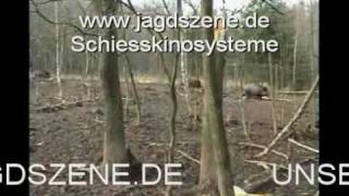 WILDSCHWEINJAGD IM SCHIESSKINO [upl. by Ventre841]