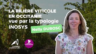 Découvrez la filière viticole dOccitanie vue par le prisme de laTypologie INOSYS [upl. by Chariot482]