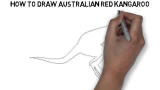 How To Draw Australian Kangaroo Quickly And Easily [upl. by Atiuqel207]