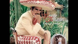 bohemio de aficion vicente fernandez [upl. by Greenleaf]