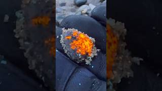 🔥 Fire 🔥 Such an awesome Yooperlite fire gemsstone shorts sodalite [upl. by Letnahs]