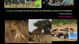 Introducción a la ecología  Ecología  Biología  Khan Academy en Español [upl. by Atiuqin]