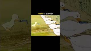 Janvaron ki khetishortvideos yutubeshorts [upl. by Cele]