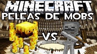 Minecraft Peleas de Mobs  100 Blazes Vs 100 Esqueletos con IncrossMX [upl. by Lundeen674]