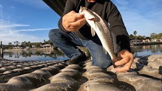 Florida intracoastal fishing Matanzas river 2152022 [upl. by Shrier]