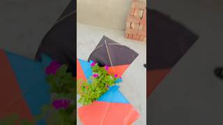 Chote ko patang ke phed main se ptang giveaway kar diya 🥰kiteflying giveaway shorts [upl. by Nalehp]