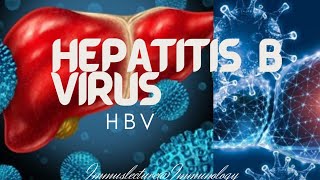 Hepatitis B virus HBV [upl. by Leiad]