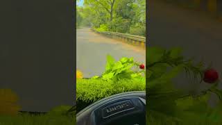 Driver life automobile viralvideo trendingshorts driverlife automobile truckdriverjobs [upl. by Tabbitha]