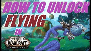 How to Unlock Flying in WoW Shadowlands quotThe Last Sigilquot Quest line in Korthia [upl. by Doscher]