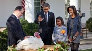 President Obama Pardons Turkey [upl. by Nahsed]