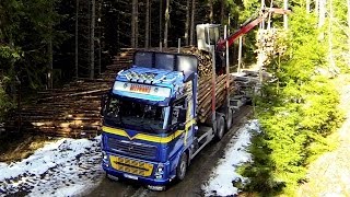 Volvo FH16 750 hp Timber truck amp Quadcopter Phantom 2 [upl. by Sila]