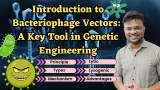 Introduction to Bacteriophage Vectors A Key Tool in Genetic Engineering [upl. by Mccord]